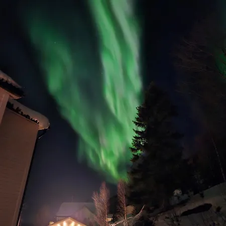 On The Beautiful Island Of Senja! Apartamento Senja